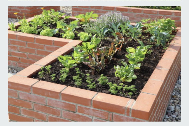 brick raised garden bed with flowers