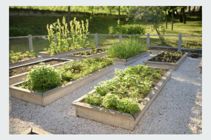 stone raised garden bed
